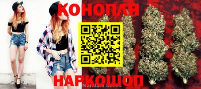 СК Краснодар