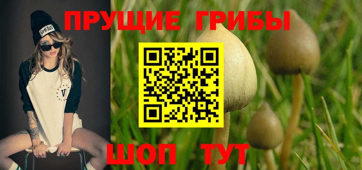 Галлюциногенные грибы ЛСД  что такое   Каменка  Вход с VPN 